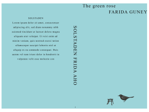 Premade Book Cover: A beautiful simplistic book cover ideal for historical, mystery, literary, drama. Reminiscent of Asian cultures. 